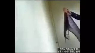 ام ام وبنها