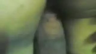 احلوك تصوير واضح