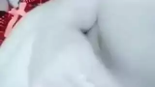 عربية تقلع ملالسها