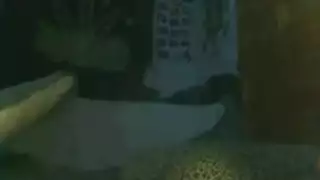 قاعة الدراسة ناضجة الهواة تخوض