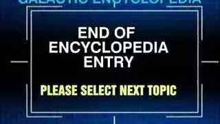 ارزيو وهران