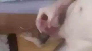 جنس شرجي صريح مع جسد كاسيدي كيسلر المذهل