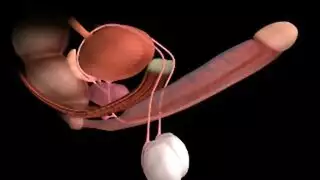 الاخ واخته لوحدهم في المنزل وينيكها تحرش