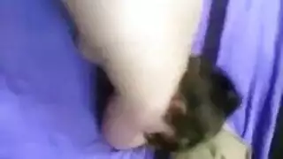 عيل صغير مراهق مش قادر ينيك شرموطة ضخمه