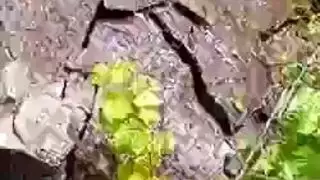 مجموعة مثلي الجنس في تجميع اللعنة