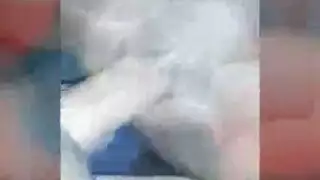 امهات وابناء مترجم جديد