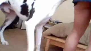 لوط عنيف واهوا نايم