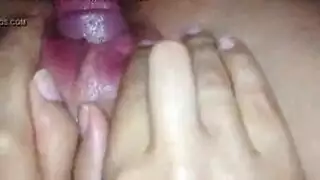 الفشلون المحلي الجزاءري