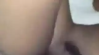 اكسي بلوم
