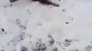ثدي كبير يلتف حول قضيب صلب في خيال إباحي ثلجي