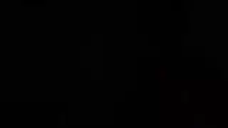 الديك المزيف المزيف