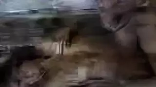 مراهقات أجنبيات في حركة إباحية صريحة