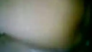 إباحية مستلزمات الحيوانات: ممارسة الجنس على المجفف