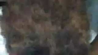 ادخله من جديد مترجم