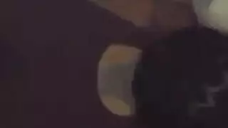 نيكعربيفيديو