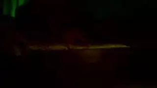 بنات مع كلاب دوبرمن