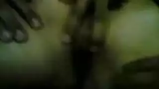 استازىا لوكس