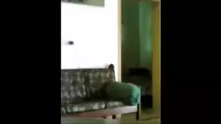 شقيقات جامحات على الكاميرا تقدم عرض إباحي صريح