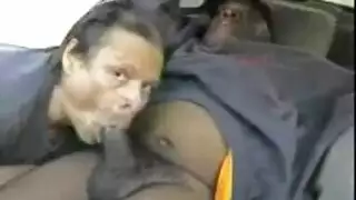 مشاهد bestiality xxx: بنات تتناك بقوة من حيوانات