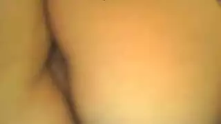 الوجه فوضوي الهرة مشعر تجميع النشوة