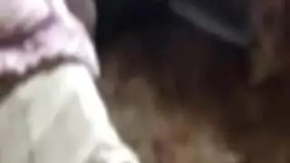 ينيك تركية ساخنة و يجعلها تتغنج من قوة الزب في الفندق