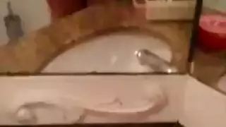 فاتنة قرنية ، سابرينا تحصل مارس الجنس من الخلف وتصرخ من المتعة أثناء كومينغ